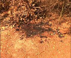 পূর্ব মেদিনীপুরের কাঁথিতে যুবককে পিটিয়ে,পুড়িয়ে খুনের অভিযোগ প্রেমিকার পরিবারের বিরুদ্ধে