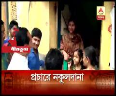 লোকসভা ভোটে অনুব্রত মণ্ডলের দাওয়াই নকুলদানা, নকুলদানা বিলি তৃণমূল নেতা, কর্মীদের