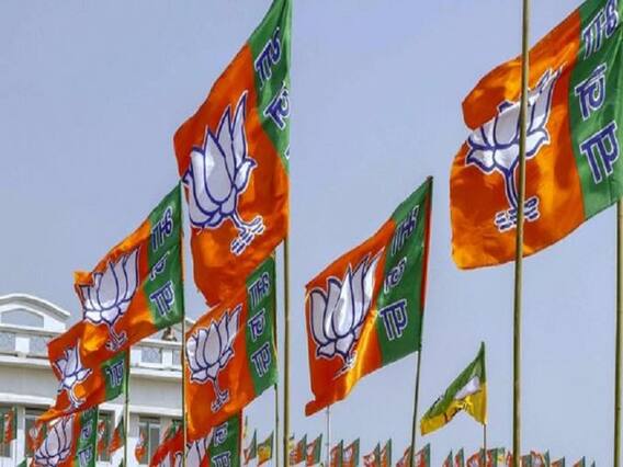 લોકસભા ચૂંટણીમાં ગુજરાત ભાજપમાંથી કયા-કયા નેતાઓનું કપાઈ શકે છે પત્તું? જુઓ વીડિયો