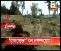 পূর্ব মেদিনীপুরের খেজুরিতে রাতারাতি শতাব্দীপ্রাচীন অন্তত দুশো গাছ কেটে ফেলল বন দফতর