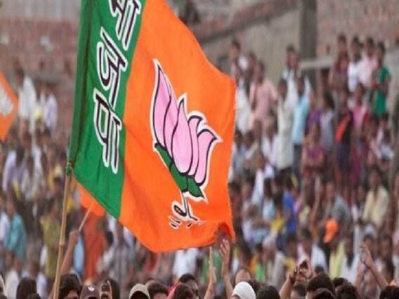 ગુજરાતમાં ભાજપે એક સામટા ત્રણ સાંસદોના પત્તા કાપ્યા, કયા નવા ચહેરાઓને મળી ટિકિટ? જુઓ વીડિયો