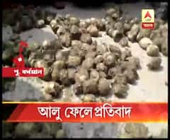 তিন দিনের বৃষ্টিতে ব্যাপক ক্ষতি, মিলছে না ক্ষতিপূরণ, প্রতিবাদে কালনার এক নম্বর কিষাণ মাণ্ডির সামনে আলু ছড়িয়ে বিক্ষোভ চাষিদের