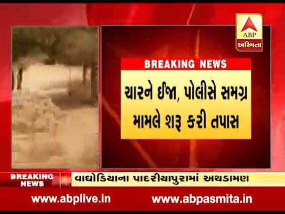 વાઘોડિયાના પાદરીયાપુરામાં મકાઈની ખેતીમાં ભેલાણ મામલે બે જૂથ વચ્ચે અથડામણ, જુઓ વીડિયો