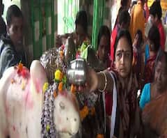 আজ মহা শিবরাত্রি, কলকাতা-সহ দেশের নানা প্রান্তে মহাসমারোহে পালিত হচ্ছে দিনটি
