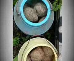 লোকসভা ভোটের আগে উত্তর ২৪ পরগনার আমডাঙায় বোমা উদ্ধার