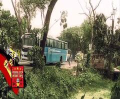 তারকার চোখে তারকা কেন্দ্র: বারাসাতে সোহিনী
