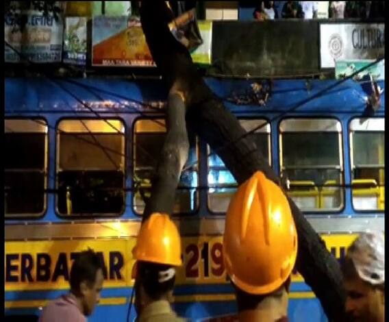 কলকাতা, দুই ২৪ পরগনায় বজ্রবিদ্যুৎসহ বৃষ্টি, ঝোড়ো হাওয়া, উপড়ে গেল গাছ, ব্যাহত ট্রেন চলাচল, বাজ পড়ে মৃত্যু মহিলার