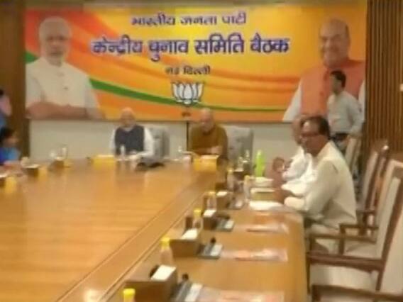 BJP conducts Central Election Committee meeting