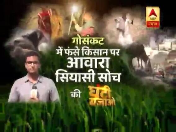गोसंकट में फंसे किसान पर आवारा सियासी सोच की घंटी बजाओ 