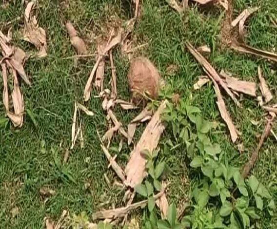 ডোমকলের টিকটিকিপাড়ায় ব্যাপক বোমাবাজি, আতঙ্কিত ভোটাররা