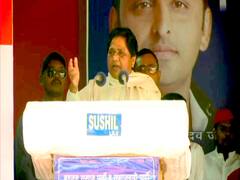 Mayawati alleges BJP of deliberately sending stray cattle at her rally site 