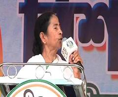 ‘বিজেপিকে কাঁকরের লাড্ডু দেবো’, মোদির উপহার মন্তব্য বিতর্কে আক্রমণ মমতার