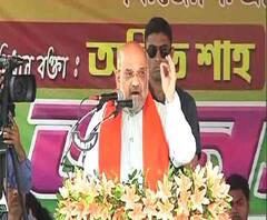 রাজ্যের উন্নতির জন্য দেওয়া কেন্দ্রীয় অর্থ তৃণমূলের গুন্ডাদের পকেটে ঢুকেছে, উলুবেড়িয়া থেকে আক্রমণ অমিত শাহর