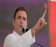 বুধবার রায়গঞ্জে দীপা দাশমুন্সির সমর্থনে সভা করার সম্ভাবনা রাহুল গাঁধীর