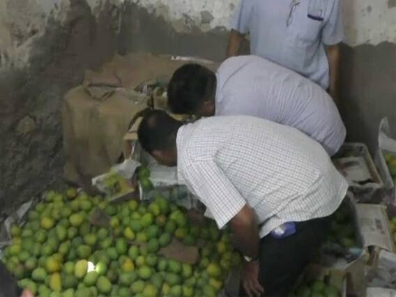 જામનગરમાં કેરીના વેપારીઓ પર આરોગ્ય વિભાગની ટીમે પાડ્યા દરોડા, જુઓ વીડિયો 