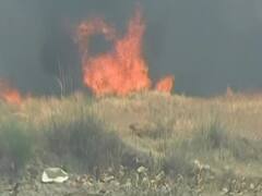 Smriti Irani visits fire-affected fields in Purab Dwara village