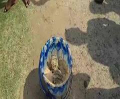 ৩০০ তাজা বোমা উদ্ধার বোলপুরে, উঠে আসছে গোষ্ঠীকোন্দলের তত্ত্ব