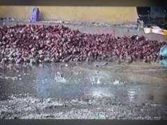 Ghanti Bajao: Why aren't there proper arrangements to store farmers' produce?