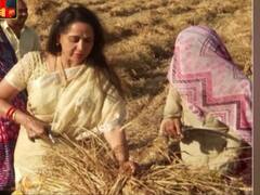 Hema Malini uses sickle in field wearing an expensive necklace and saree