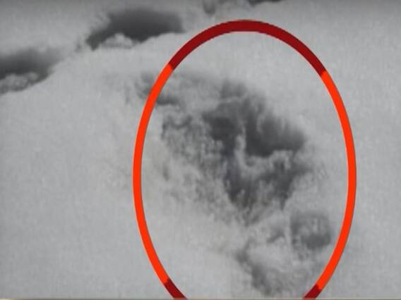 Controversy over Army's Yeti trace claim | Master Stroke