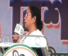 মোদি-শাহ-কে দুর্যোধন, দুঃশাসন বলে আক্রমণ মমতার 