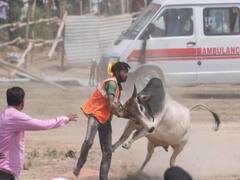 Bull's entry in politics right before Lok Sabha elections
