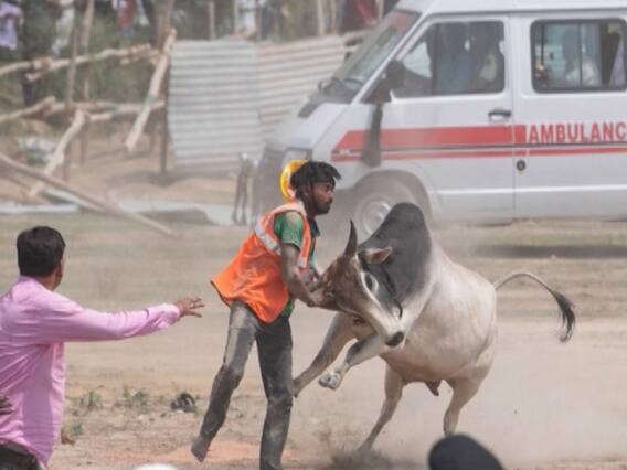 Bull's entry in politics right before Lok Sabha elections