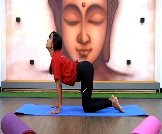 VIDEO | कसं करावं मार्जरासन, काय आहेत याचे फायदे? | दोन मिनिटांत योग | एबीपी माझा