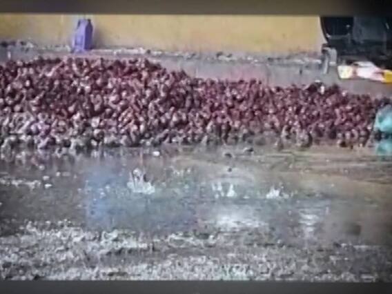 Ghanti Bajao Full: Why do farmers suffer during rains?