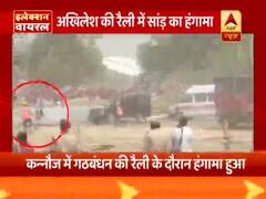 रैली में सांड़ ने किया हंगामा तो अखिलेश-मायावती ने बीजेपी पर साधा निशाना । इलेक्शन वायरल 26.04.2019