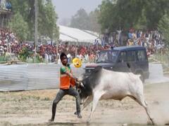 Nandi ji targeted abettors of illegal slaughterhouses in UP: Yogi on bull incident