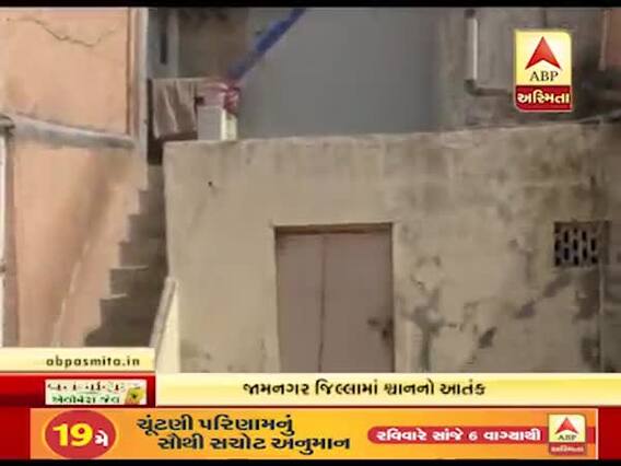 જામનગર જિલ્લામાં શ્વાનનો આતંક, તરસાઇ ગામમાં શ્વાન 7 લોકોને કરડ્યો