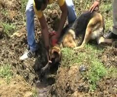 আসানসোলে মাটি খুঁড়ে যুবকের মৃতদেহ উদ্ধার, সন্দেহ খুন