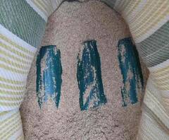 ঠাকুরনগরে ঠাকুরবাড়ি চত্বর থেকে উদ্ধার ৬টি সকেট বোমা