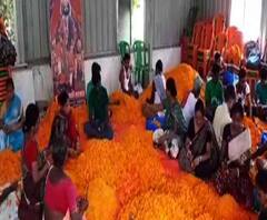 সপ্তম দফার আগে আজ কলকাতায় রোড শো অমিত শাহর, দশ হাজার কেজি গাঁদা ফুলের পাপড়ি আসছে বাগনান থেকে