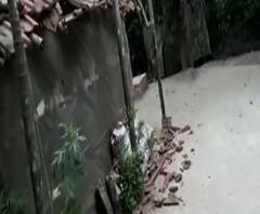 দেগঙ্গায় বিজেপির প্রাক্তন পঞ্চায়েত সদস্যকে গ্রামে ঢুকতে বাধা, অভিযোগ তৃণমূলের বিরুদ্ধে