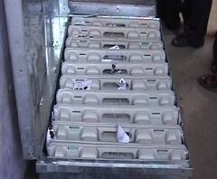 ইভিএম-কারচুপির অভিযোগে উদ্বিগ্ন প্রণব, সুরক্ষার দায়িত্ব কমিশনের, বার্তা প্রাক্তন রাষ্ট্রপতির