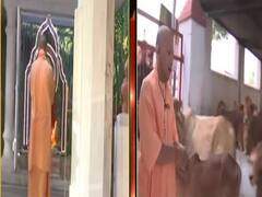 वोटिंग से पहले CM योगी ने की गोसेवा और पूजा पाठ, आज गोरखपुर में होना है मतदान