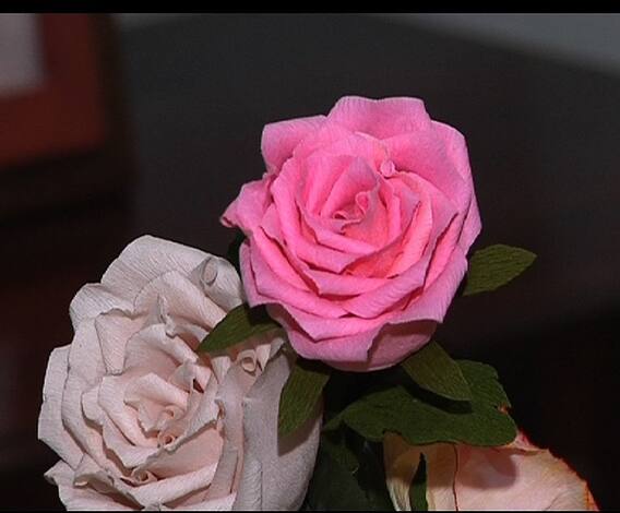 Ghe Bharari | कागदापासून साकारा गुलाबाची फुलं | घे भरारी | व्हा क्रिएटिव्ह | ABP Majha 