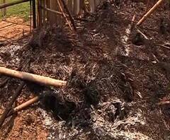 মেদিনীপুরের বেলদায় তৃণমূলের কার্যালয়ে আগুন, খাবার নষ্ট করে দেওয়ার অভিযোগ বিজেপির বিরুদ্ধে