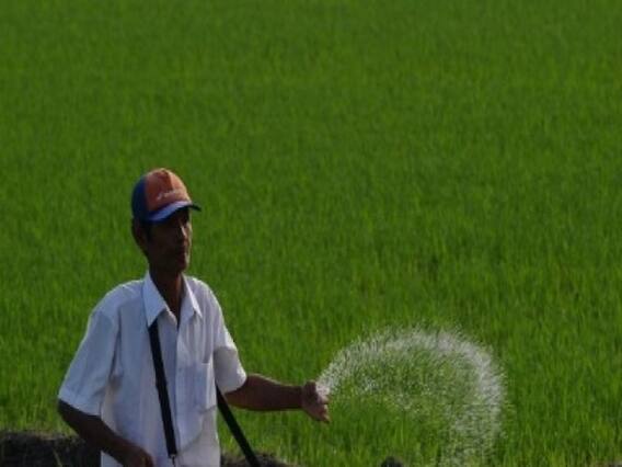 સુરતઃ ખેડૂતો ખાતર માટે GSFCના ડેપો પર મારી રહ્યા છે વલખા , જુઓ વીડિયો