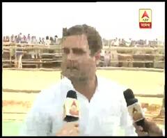 ''মোদির ঘৃণার জবাব ভালবাসায় দেব'', এবিপি আনন্দকে দেওয়া সাক্ষাৎকারে জানালেন রাহুল গাঁধী