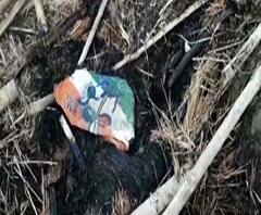 পশ্চিম মেদিনীপুরের মোহনপুরে তৃণমূল পঞ্চায়েত সদস্যের বাড়িতে আগুন, অভিযোগ বিজেপির বিরুদ্ধে