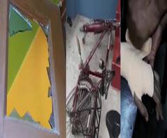 গণনার পর অশান্তি রাজ্যের বিভিন্ন এলাকায়, অশান্ত সিতাই, টিটাগড়, নারায়ণগড়, নিউটাউন