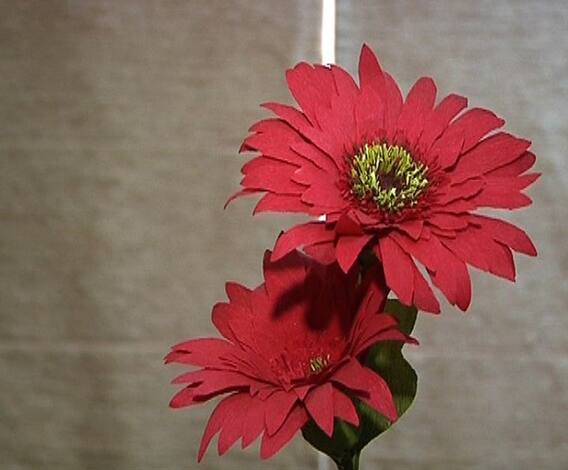 Crafts | कागदापासून अशी बनवा आकर्षक फुलं | व्हा क्रिएटिव्ह | घे भरारी | ABP Majha