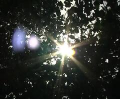 এখনই গরম থেকে রেহাই নেই, আগামী ৪৮ ঘণ্টায় বজায় থাকবে অস্বস্তি, দক্ষিণবঙ্গের কয়েকটি জেলায় বিক্ষিপ্তভাবে ঝড়বৃষ্টি হতে পারে