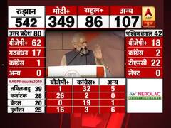 BJP fought entire LS elections in PM Modi's name