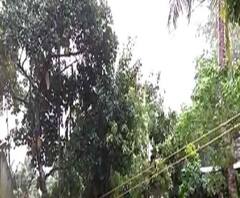 ঘূর্ণিঝড় ফণী এই মুহূর্তে অবস্থান করছে নদিয়ার শান্তিপুরে, দেখে নেব এখনকার পরিস্থিতি