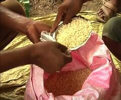 নওদায় বিধানসভা উপ নির্বাচনে ভোটারদের প্রভাবিত করার অভিযোগ তৃণমূলের বিরুদ্ধে, স্বীকার স্থানীয় তৃণমূল নেত্রীর