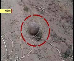 ঘাটালে বিজেপি কর্মীদের বাড়ি ‘লুঠ’, মহিলাদের মাথায় অস্ত্র ঠেকিয়ে হামলার অভিযোগ তৃণমূলের বিরুদ্ধে